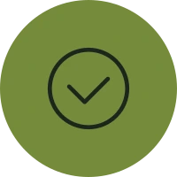 Check Icon Green